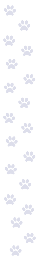 19 blue pawprints